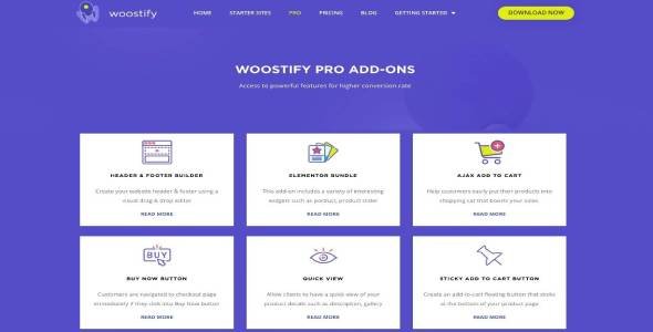 WOOSTIFY PRO nulled Themes