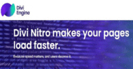 Divi Nitro nulled plugin