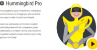 WPMU DEV Hummingbird Pro nulled plugin