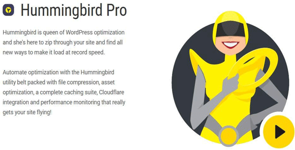 WPMU DEV Hummingbird Pro nulled plugin