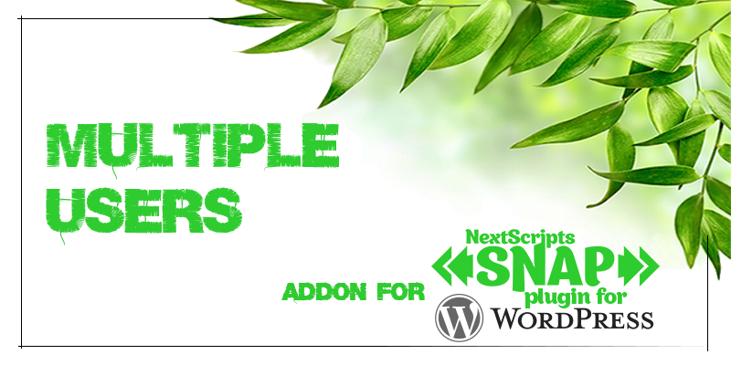 Social Networks Auto Poster SNAP Pro nulled plugin