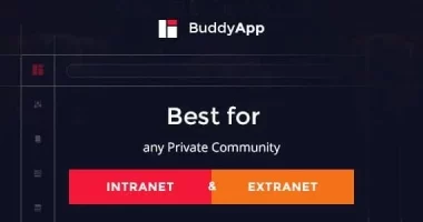 BuddyApp nulled Themes