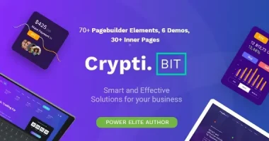 CryptiBIT nulled Themes