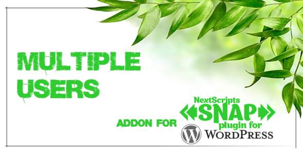 Social Networks Auto Poster SNAP Pro nulled plugin