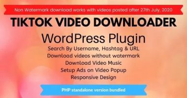 TikTok Video Downloader without Watermark nulled plugin