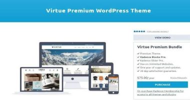 Virtue Premium nulled Themes