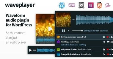 WavePlayer nulled plugin