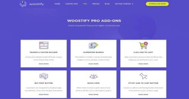 WOOSTIFY PRO nulled Themes