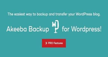 Akeeba Backup Pro nulled plugin