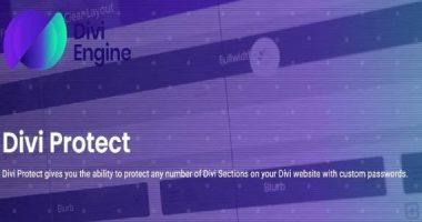 Divi Protect nulled plugin