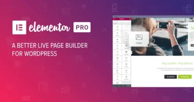 Elementor PRO 3.7.5 NULLED