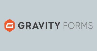 Gravity Forms nulled plugin