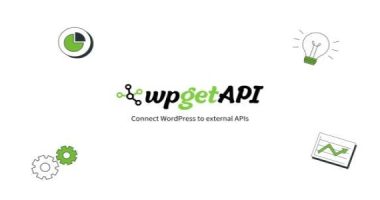 WPGetAPI Pro nulled plugin