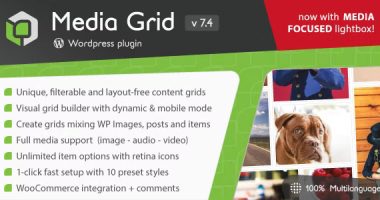 Media Grid NULLED Plugin