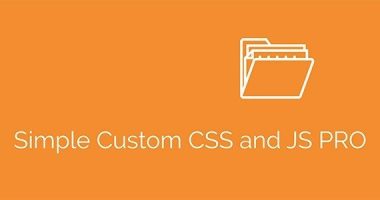 Simple Custom CSS and JS PRO nulled plugin