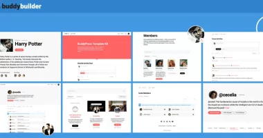 BuddyBuilder Pro nulled plugin