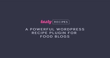 Tasty Recipes nulled plugin