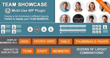 Team Showcase nulled plugin