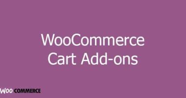 woocommerce Cart Add-ons nulled plugin