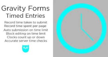 Gravity Forms Timed Entries nulled plugin